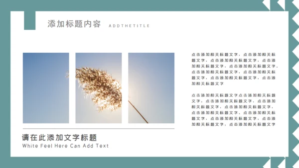 素雅的个人简历通用PPT模板