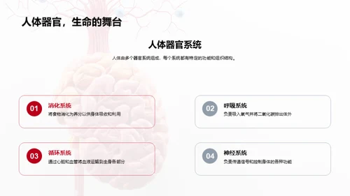 解剖学的医学精要