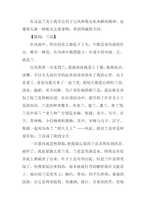 兰花作文400字0.docx