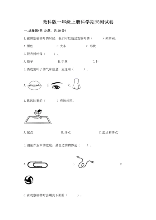 教科版一年级上册科学期末测试卷精品【巩固】.docx