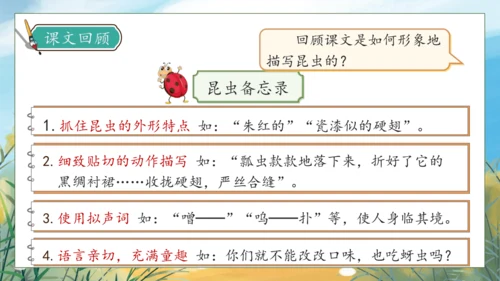 【核心素养】部编版语文三年级下册-语文园地一（课件）