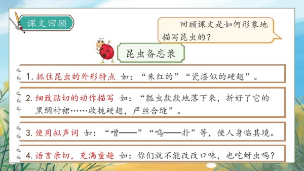 【核心素养】部编版语文三年级下册-语文园地一（课件）
