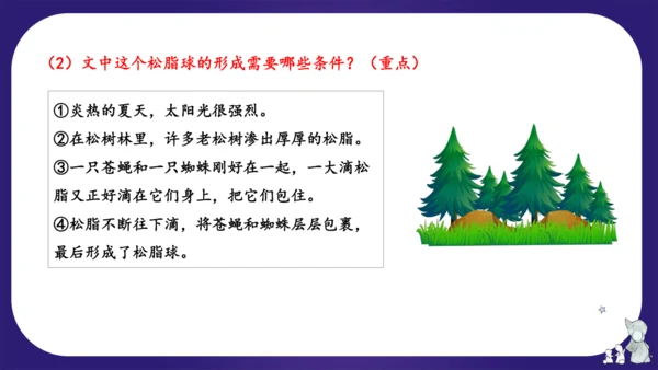 统编版四年级语文下学期期中核心考点集训第二单元（复习课件）
