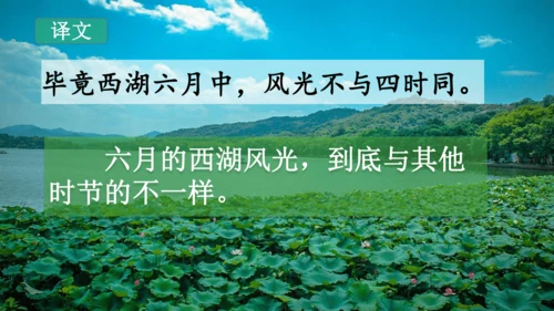 二下《古诗二》第一课时