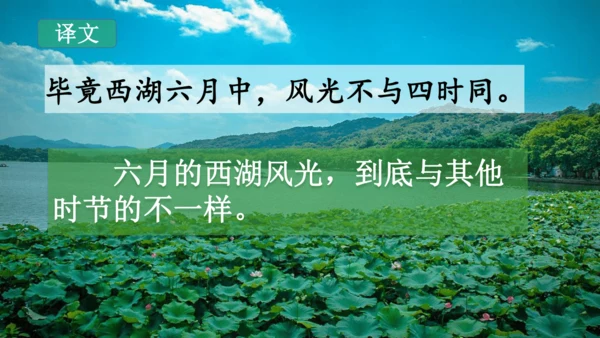 二下《古诗二》第一课时