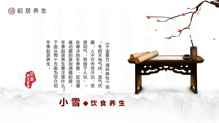 淡雅中国风二十四节气之小雪养生PPT模板