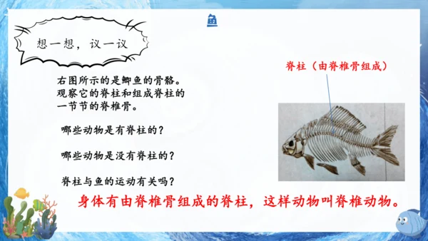 人教版生物七年级上册2.2.2《脊椎动物》课件(共22张PPT)+视频素材