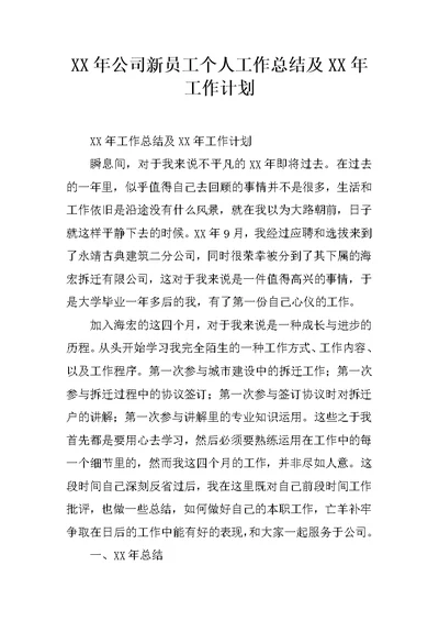 XX年公司新员工个人工作总结及XX年工作计划