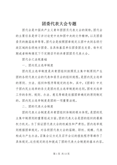 团委代表大会专题.docx