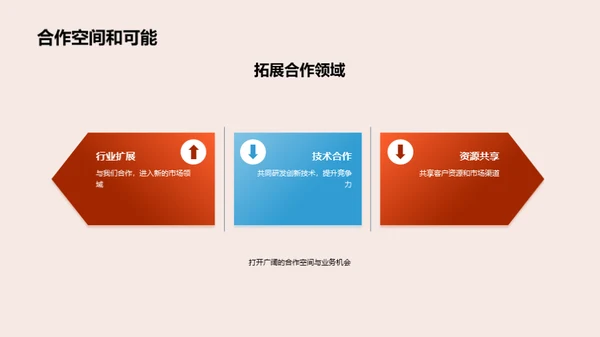业务展望：未来合作策略