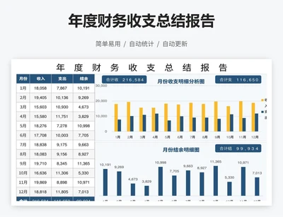 年度财务收支总结报告