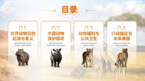 橙色世界动物日志愿者科普PPT模板