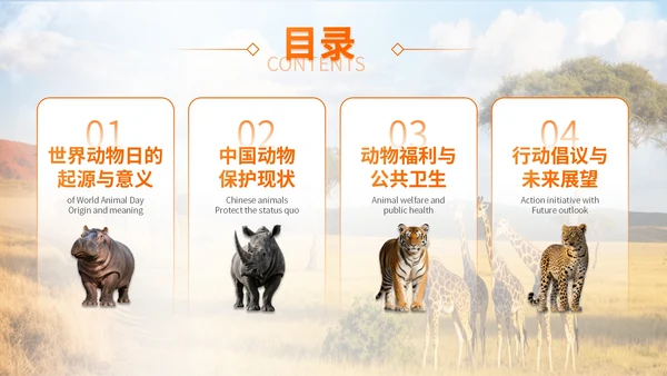 橙色世界动物日志愿者科普PPT模板