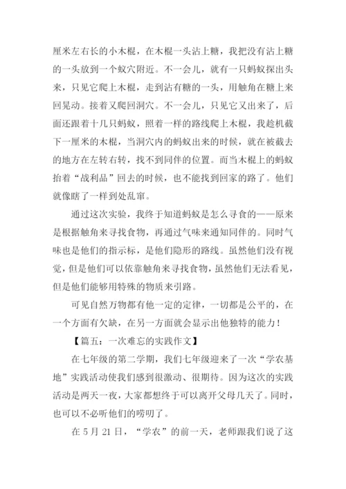 一次难忘的实践作文-2.docx