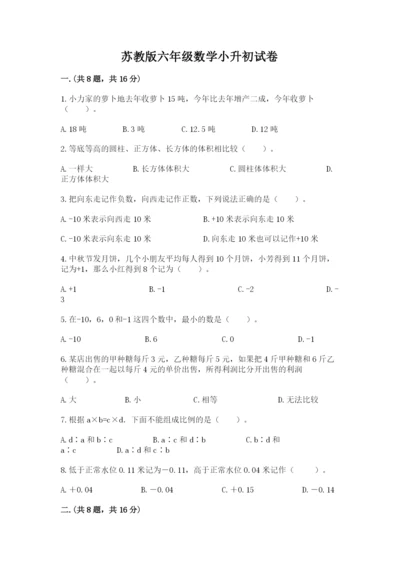 苏教版六年级数学小升初试卷（网校专用）.docx