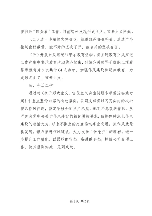 形式主义、官僚主义突出问题专项整治报告.docx