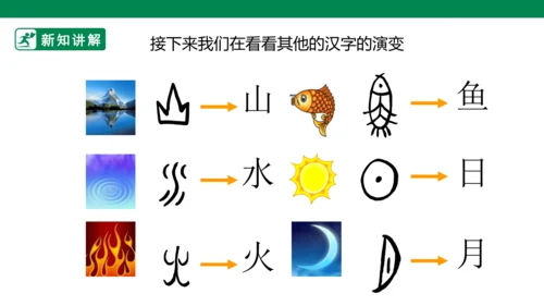 第十二课《汉字的联想》课件