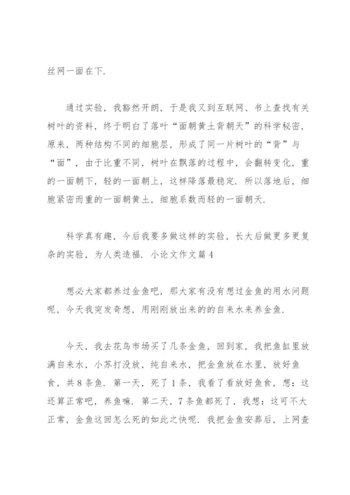 实用的小论文作文锦集六篇.docx