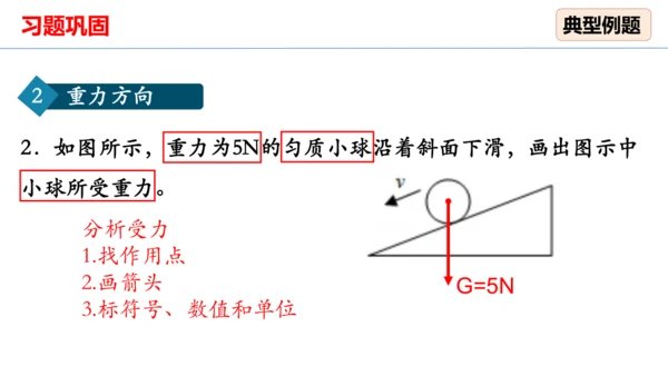 人教版 初中物理 八年级下册 第七章 力 7.3重力（习题课） 课件（18页ppt）