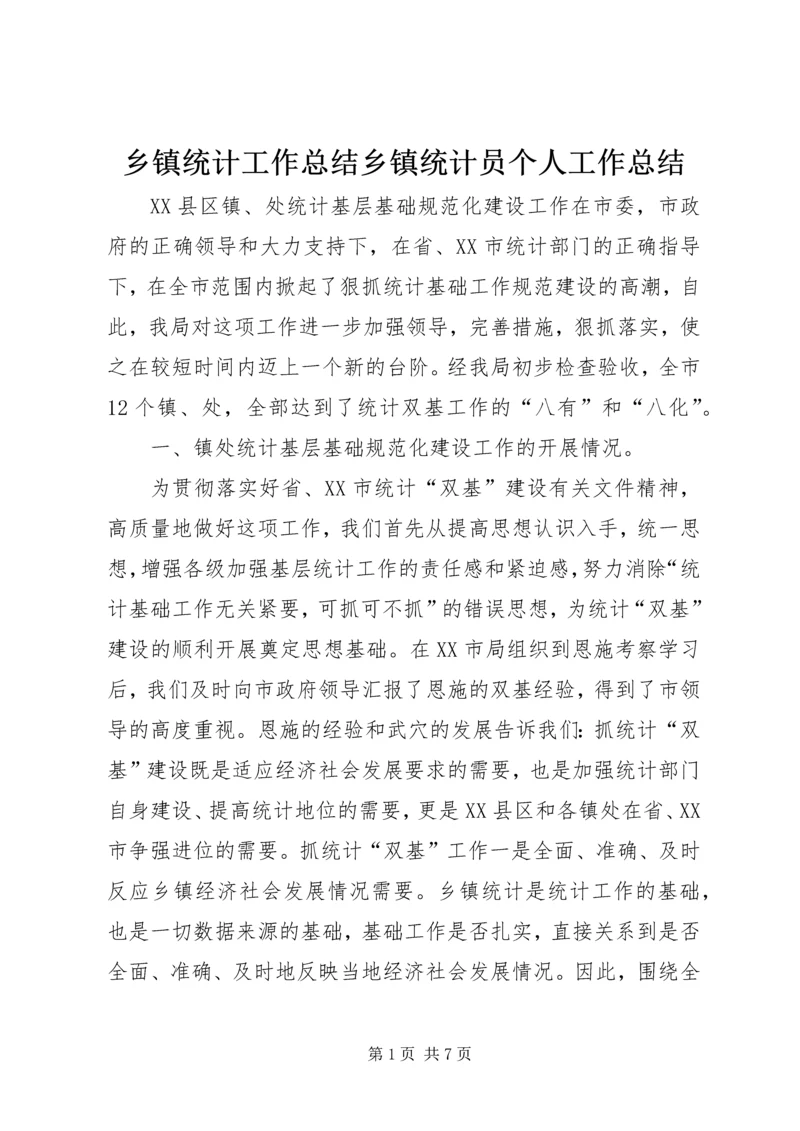 乡镇统计工作总结乡镇统计员个人工作总结.docx