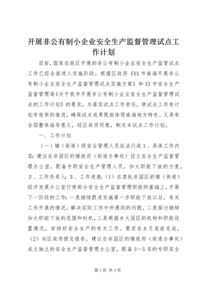 开展非公有制小企业安全生产监督管理试点工作计划 (5).docx