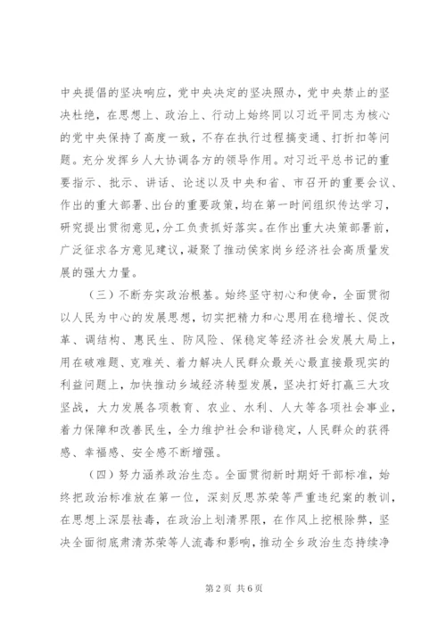 政治建设考察自查报告.docx