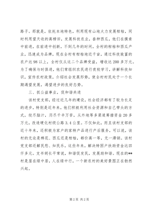 村党支部经验材料 (3).docx