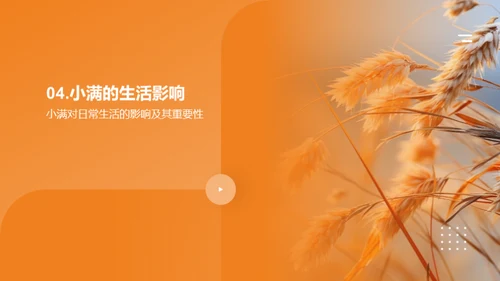 小满节气全解析