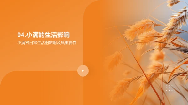 小满节气全解析