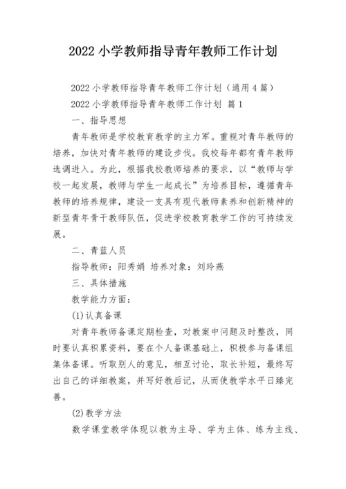 2022小学教师指导青年教师工作计划.docx