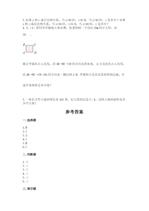 北师大版数学六年级下册期末测试卷精品（典优）.docx
