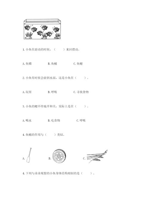 教科版一年级下册科学期末测试卷必考题.docx