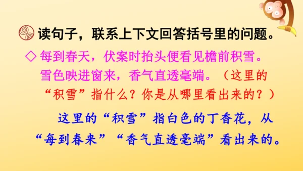 2 丁香结  课件