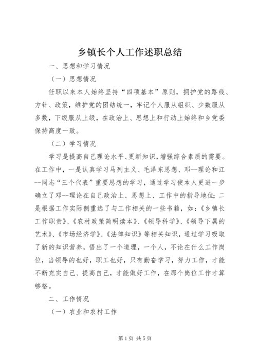 乡镇长个人工作述职总结.docx