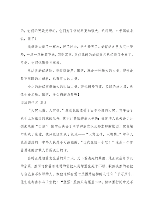 团结的作文五篇