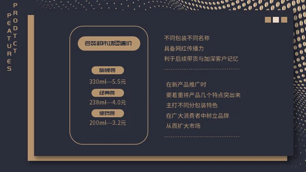 高端质感大气项目融资计划通用PPT模板