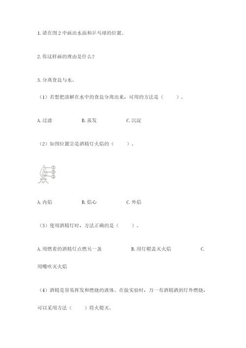 教科版三年级上册科学期末测试卷标准卷.docx
