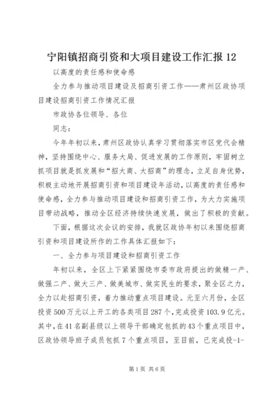 宁阳镇招商引资和大项目建设工作汇报12 (5).docx