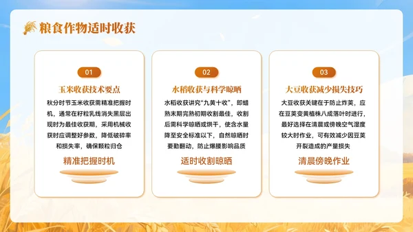 黄色插画风秋分农事农业培训PPT模板