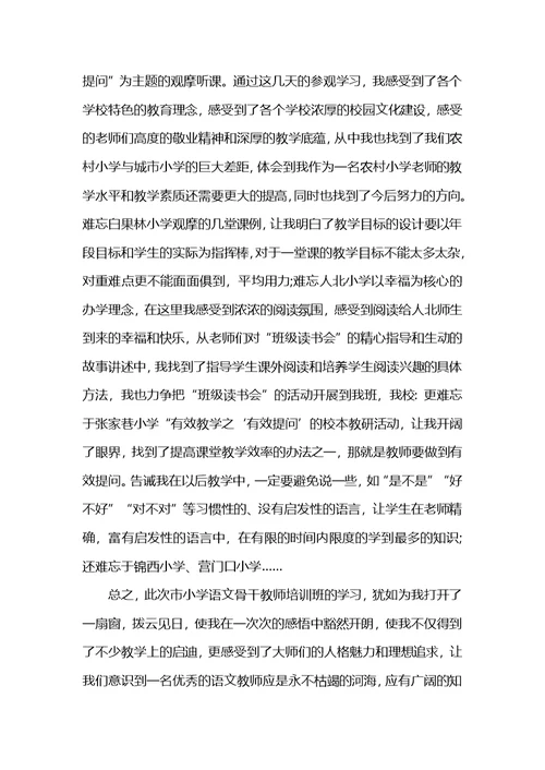 小学语文教师培训总结范文 (2)