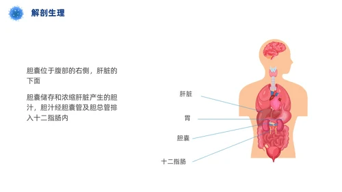 胆囊结石护理查房实拍商务PPT