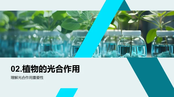 植物科学探秘