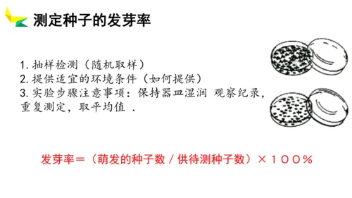 3.2.1 种子的萌发 2023-2024学年七年级生物上册精品教学课件（人教版）(共19张PPT)