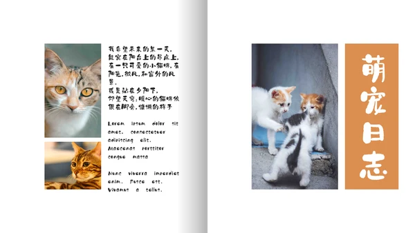简约宠物萌宠画册电子相册通用PPT模板