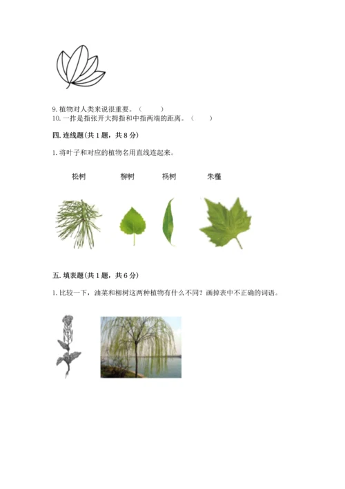 教科版一年级上册科学期末测试卷精品【巩固】.docx