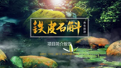 传统中医养身食材滋补中药补品通用PPT模板