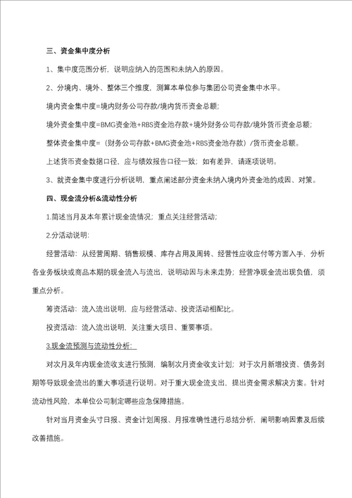 2013年资金分析报告模板