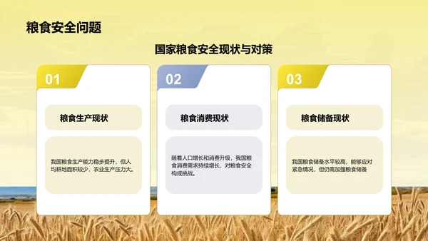 黄色摄影风乡村振兴PPT模板