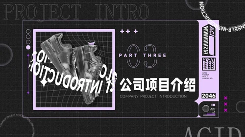酸性风时尚潮牌鞋品牌介绍通用PPT模板