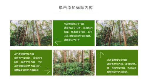 原始森林湿地植树造林森林环保PPT模板